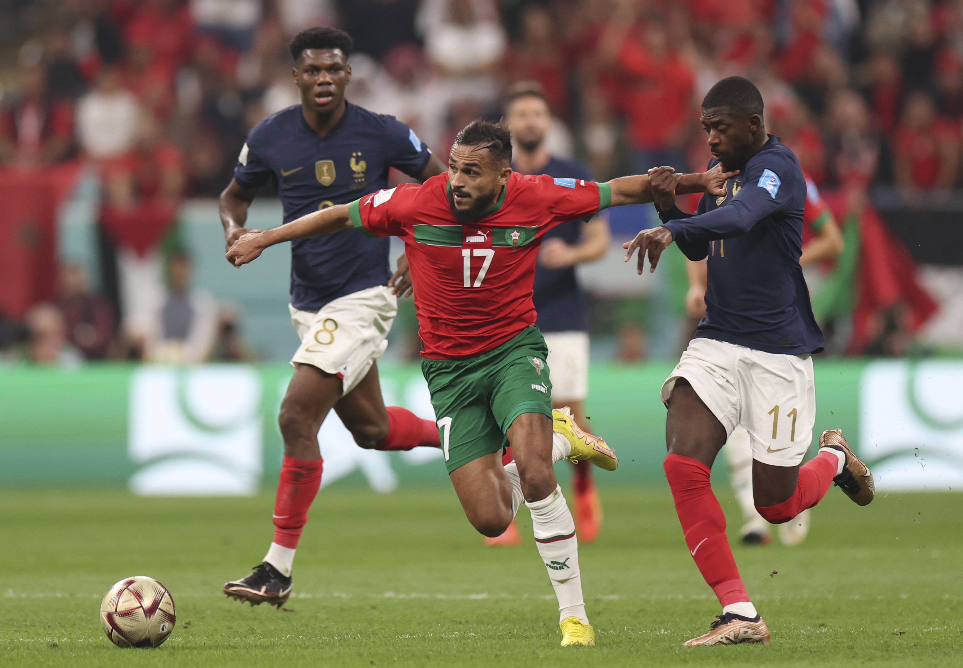 他们愿意花 他们愿意花